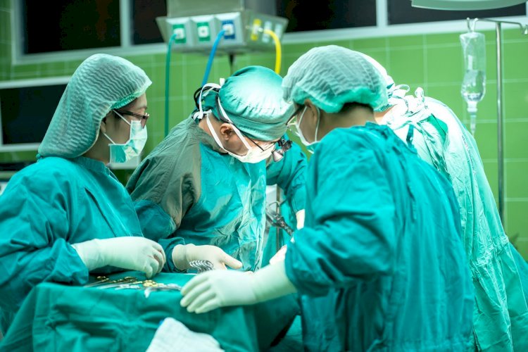 АҚШ-та ер адамға шошқа бүйрегі трансплантацияланды