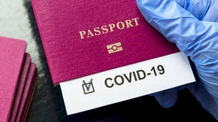 Қазақстандағы электрондық «вакциналау паспортының» дизайны өзгерді