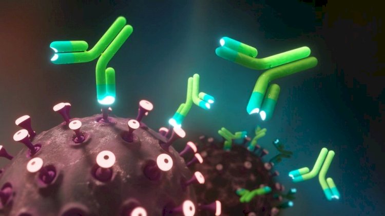 Алматылық ғалым коронавирусқа қарсы қандағы антиденелерді тексеру тиімсіз деп санайды