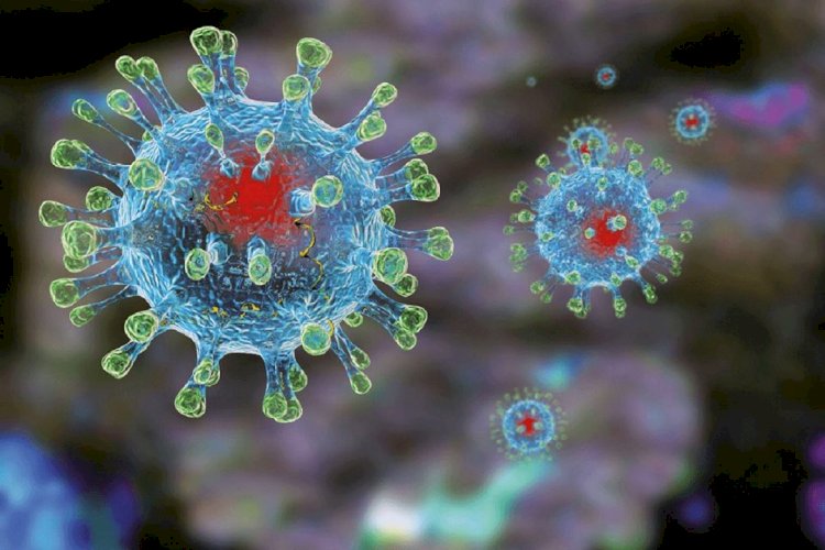 Алмаз Шарман: Вирус вакцина алмаған адамдардың денесінде мутацияға ұшырайды