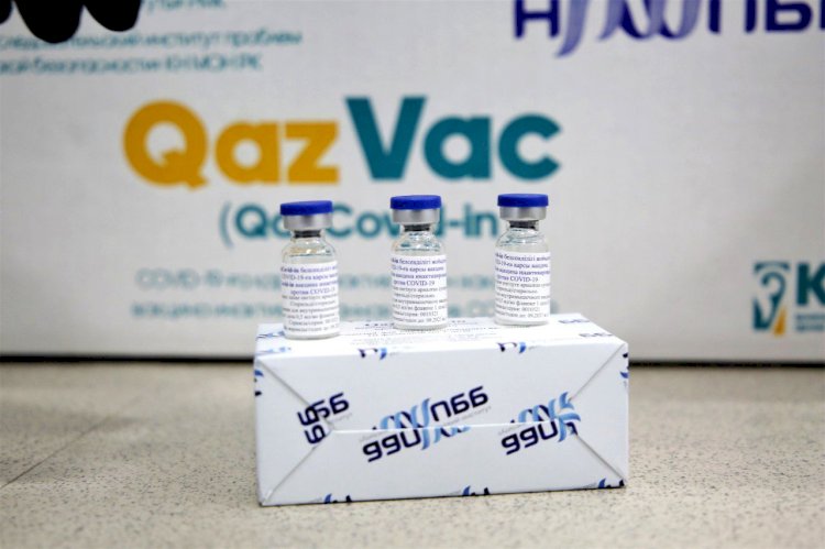 Қазақстандықтардың 300 мыңнан астамы QazVaс вакцинасын алған