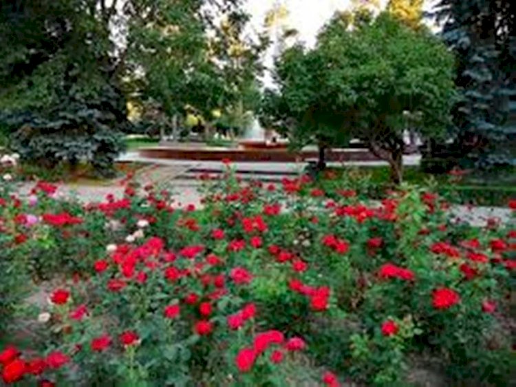 Алматы қаласының 6-12 қыркүйек аралығына арналған ауа райы болжамы