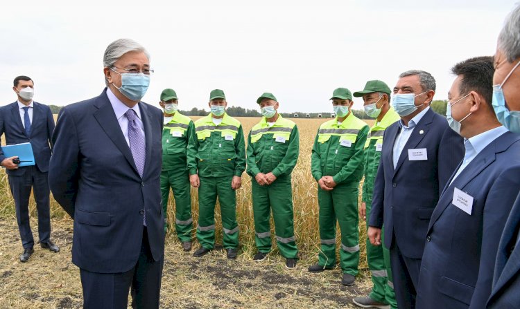 Президент Солтүстік Қазақстан облысындағы егін жинау науқанымен танысты