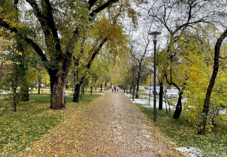 Алматы қаласының 1-7 қараша аралығына арналған ауа райы болжамы