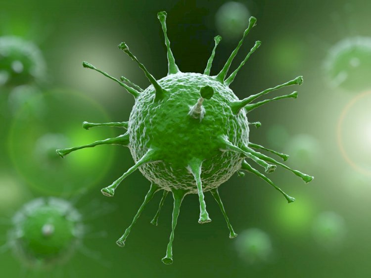 Сovid-19 вирусы іш қуысының қабынуын тудыруы мүмкін