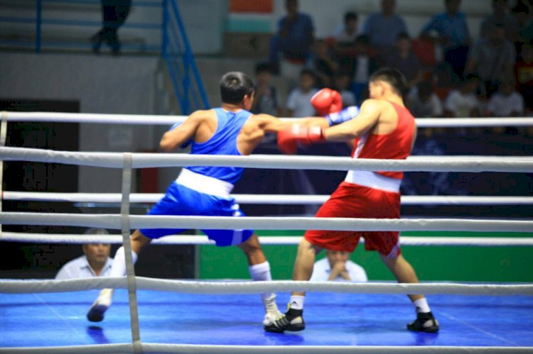 Азия чемпионаты: Бүгін 11 боксшымыз рингке шығады