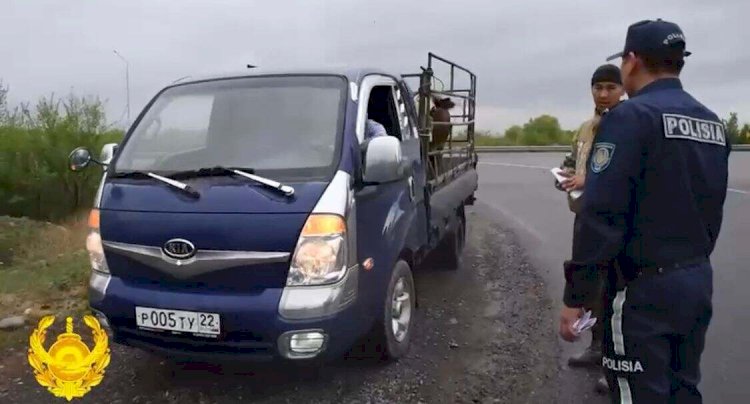 Алматы облысының полицейлері мал ұрлығының алдын алу шараларын күшейтті