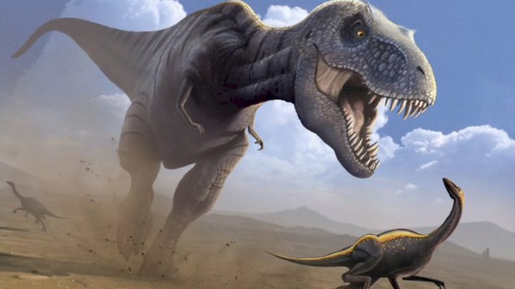 Аргентинадан динозаврдың жаңа түрі табылды