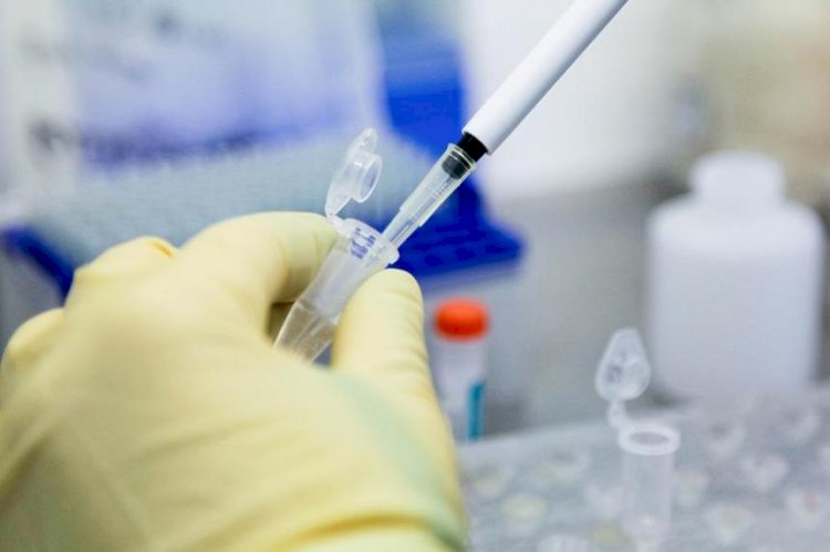 Литваға маймыл шешегіне қарсы вакцинаның 1,4 мың дозасы жеткізілді