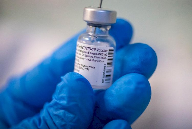 ЕО коронавирусқа қарсы жаңа Pfizer және Moderna вакциналарын сертификаттады