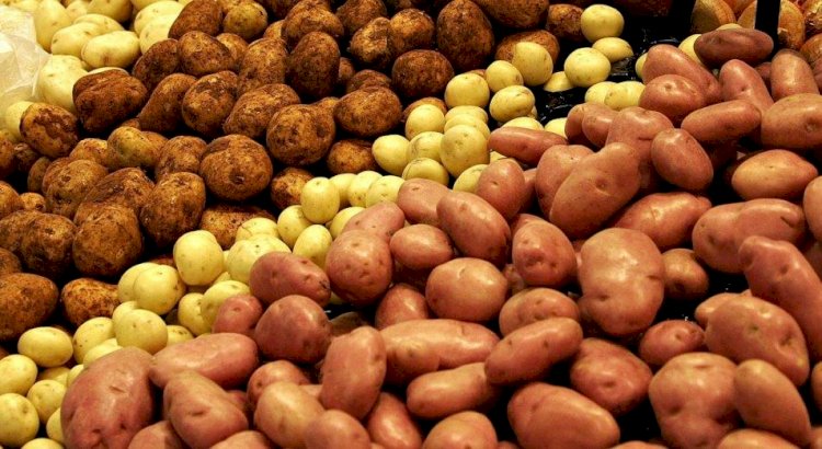 Алғаш рет картоп импорты экспорттан асты