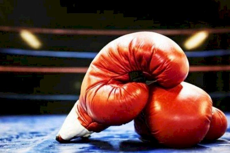 Алматыда халықаралық бокс турнирі өтеді