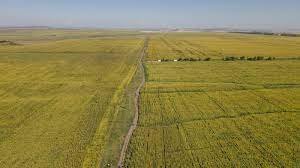 Назарбаевқа тиесілі 300 мың гектарға жуық жер тәркіленді