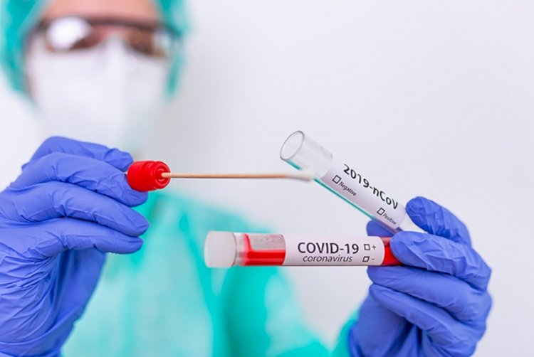 67 адамнан коронавирус инфекциясы табылды