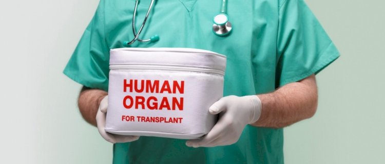 Органдарды трансплантация жасауға дін рұқсат ете ме?
