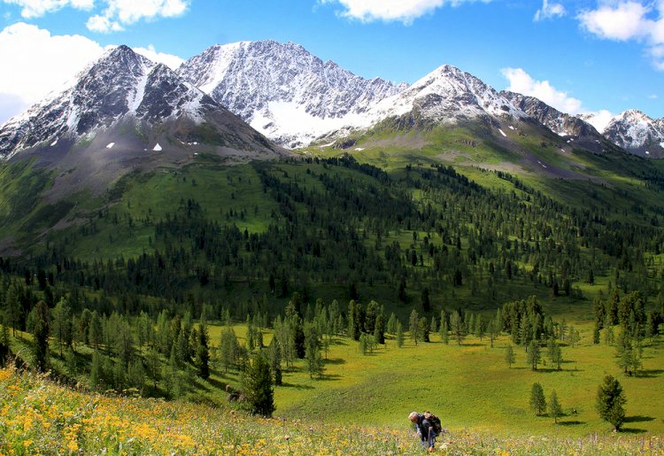Алматы тауларында жоғалған турист екінші күн іздестіріліп жатыр