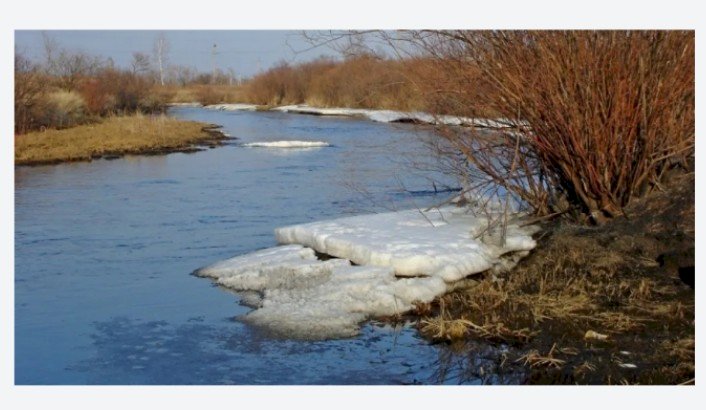Алматы облысындағы Іле өзенінде су деңгейі күрт көтерілді