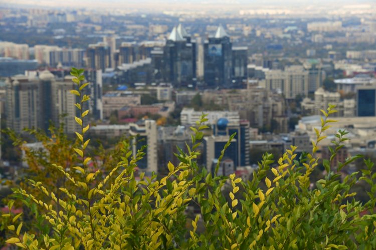 2023 жылы Алматы экономикасы 7,5% өскен